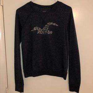 Hollister sweater